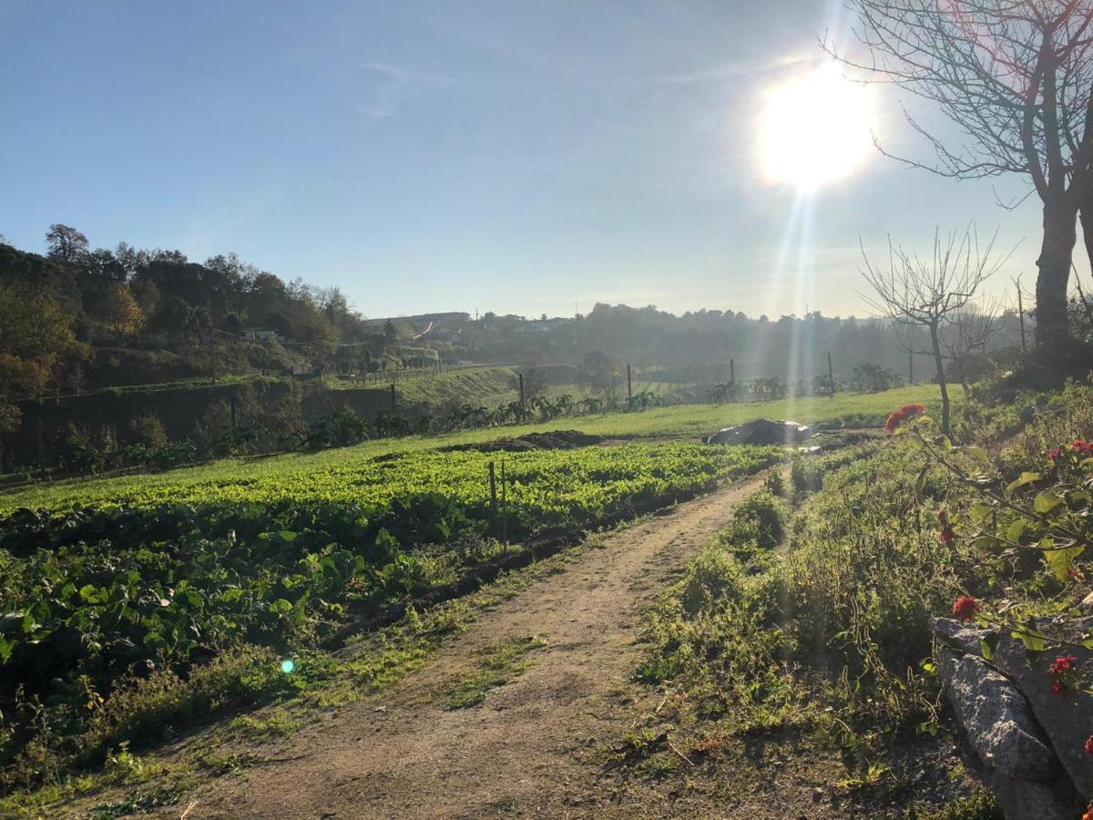 Quinta Do Ovelheiro Villa Guimarães Екстериор снимка
